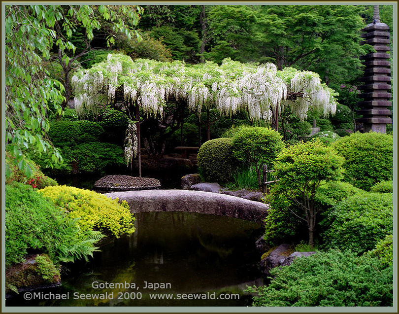 Interview with Photographer Michael Seewald